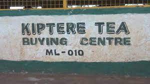 Farmers in Kiptere seeks building of new tea factory halted